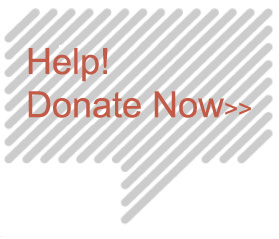 Help Donate Now