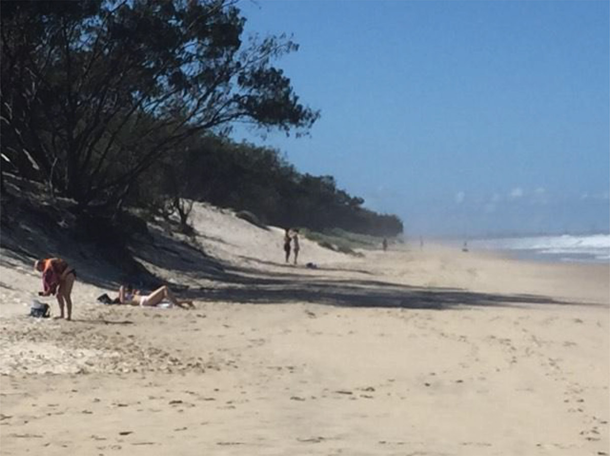 Federation Walk Coastal Reserve and The Spit (natural) backshore and foredunes creating the natural defence for the coastline