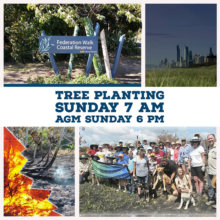 Tree Planting Day