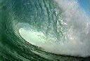 Surfrider Foundation's support
