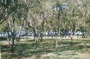 Doug Jennings Park