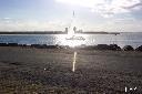 Whales Spotted in Proposed Terminal Site