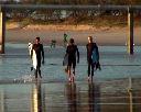 Labor 'greed' on tunnel fiasco - sounds familiar