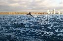 Humpback Whale enjoying time off Wavebreak Is