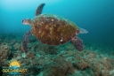 Tourism Gold Coast - part 1